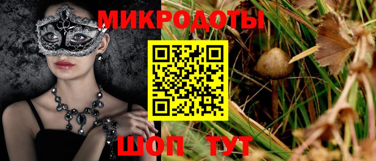 Клинцы  Псилоцибиновые грибы мухоморы  Вход с VPN 