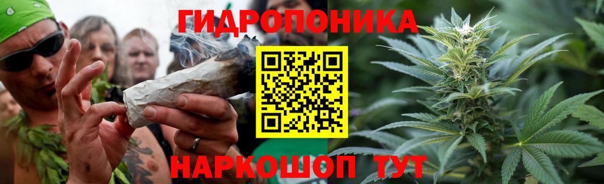 Канабис OG Kush  Канабис тримм  Вход с VPN  Клинцы 